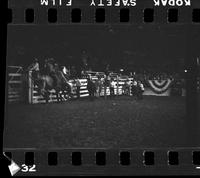 [Unknown Bull rider]