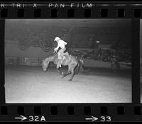 Larry Mahan on Little Beaver