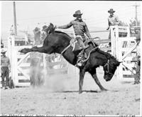 Ken Roberts Riding Madame Queen  Indio, Calif. '42