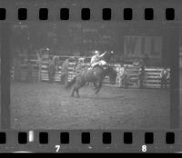 [Unknown Bareback rider]