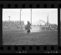 Tom Chapman Calf roping, 0 Sec