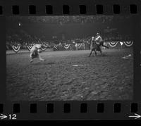 [Unknown Calf roper]