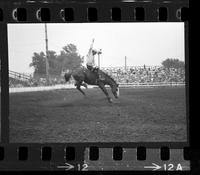 Del Hobaugh on Miles City