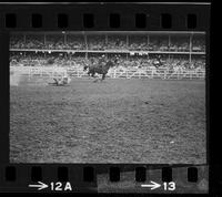 J.R. Graves Steer roping, 27.6 Sec