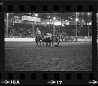 Duwayne Martin Steer wrestling