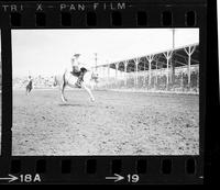 Don Mason on Saddle bronc #44