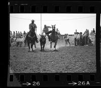 [Unknown Steer wrestler]