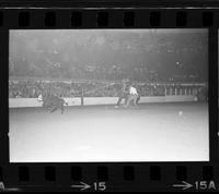 Dan Dodge Calf roping, 20.0 Sec