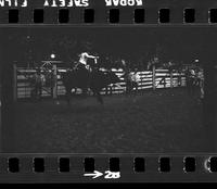 [Unknown Bull rider]