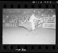 [Unknown Bull rider]