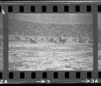 Junior Garrison Calf roping