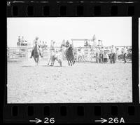 Carl Murphy Steer wrestling