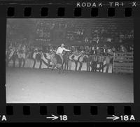 Jim Doerfler on Bull #30