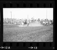 Dick Hoose Calf roping