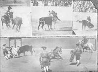 [Montage of bullfighting images]