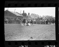 Dick Zalenski Steer wrestling