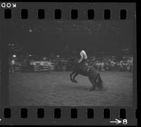 [Unknown Bareback rider]