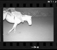 [Unknown Bareback rider]