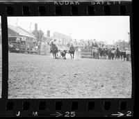 Pat Riddle Steer wrestling