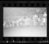 Buck Johnson on Bull #29