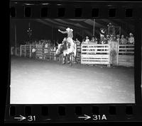 Curt Brown on Bull #187