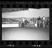 Unidentified Bull rider