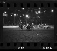 Leon Bauerle Steer wrestling