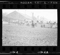 Bobby Goodspeed Calf roping, 11.33 Sec