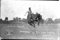Lee Caldwell on Flying Devil, Miles City, Mont. 1914, winning the bucking horse contest