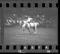 [Unknown Bareback rider]