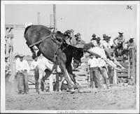 Swan Dive and 2-point landing, Chickasha, Okla. '42