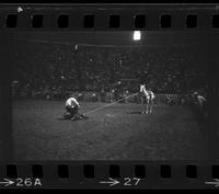 Bob Trenz Calf roping