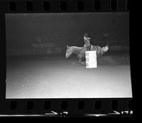 Susan Whyte Barrel racing