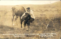 Buffalo Brady Bulldogging at American Legion Stampede, Casper, Wyo.