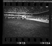 Junior Meek Steer wrestling, 7.5 Sec