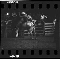 [Unknown Bull rider]