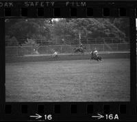 Dale Smith Steer roping