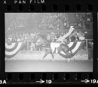 Dick Hammond Trick riding