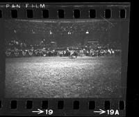 [Unknown Steer wrestler]