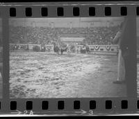 Leon Bauerle Steer wrestling