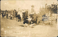 Riding the wild bull, Miles City round-up 1915