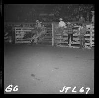 Bob Keller on Bull #187