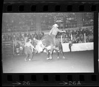 Bobby Ball on Bull #013