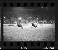 Gene Stamm Calf roping, 16.7 Sec