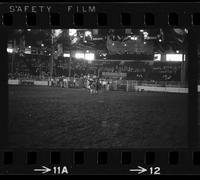 Glen Franklin Calf roping, 9.5 sec