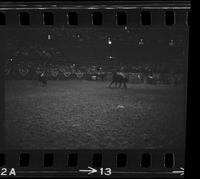 Duane Martin Calf roping