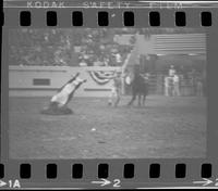 Barry Burk Calf roping, 11.6 Sec