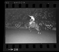 [Unknown Saddle bronc rider]