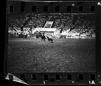 Bobby Goodspeed Calf roping