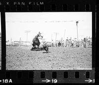 Clyde West Calf roping